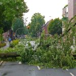 storm damage in East Kent